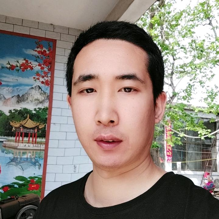 磊子
