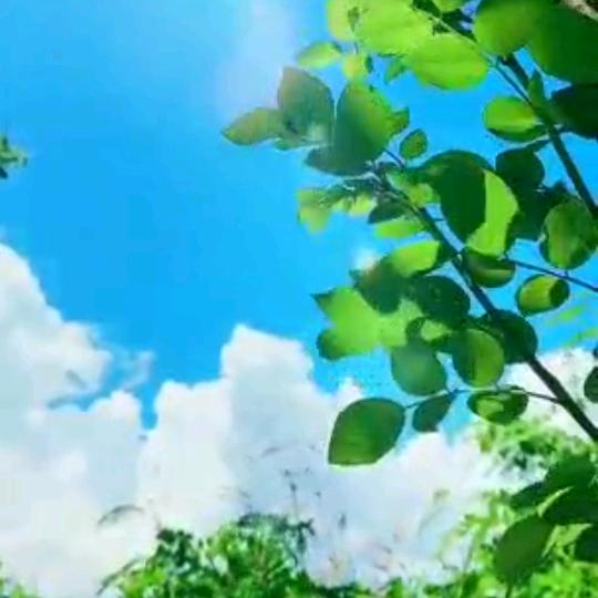 @江