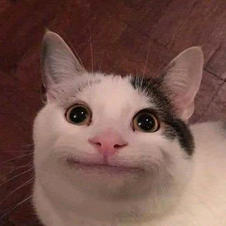 包子仍狗还不吃