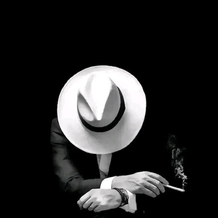 咸鱼翻身之双面咸鱼