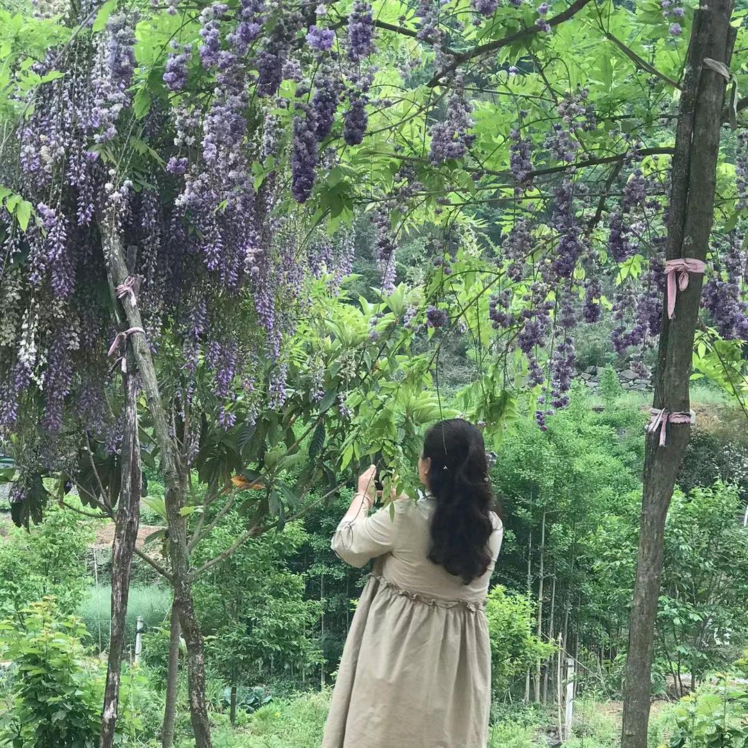 一抹阳光