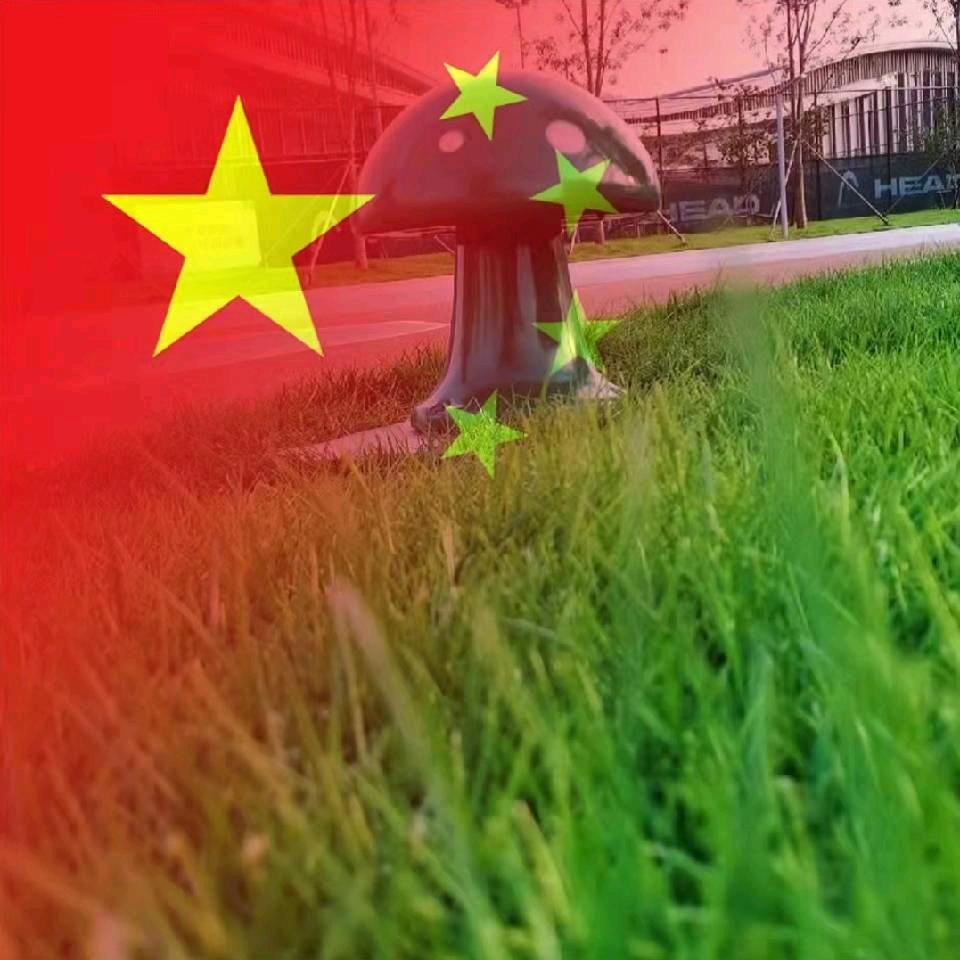 未来～可期💅💅💅