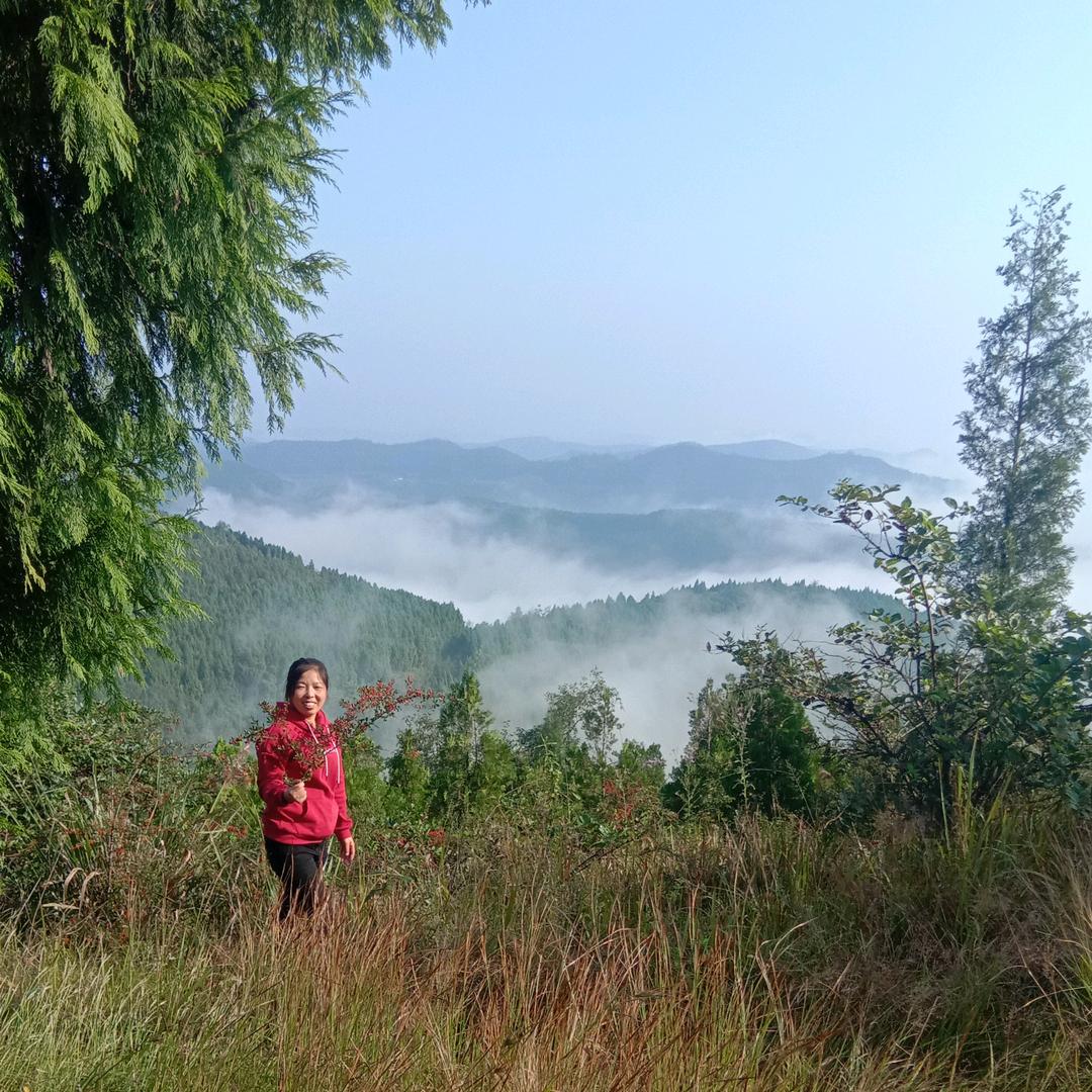 🌻晴云织锦🌻