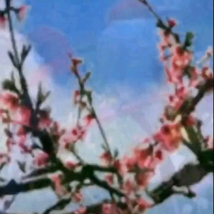 郝