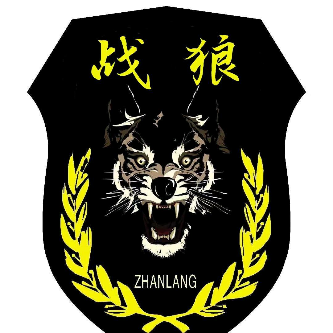 海南战狼培训