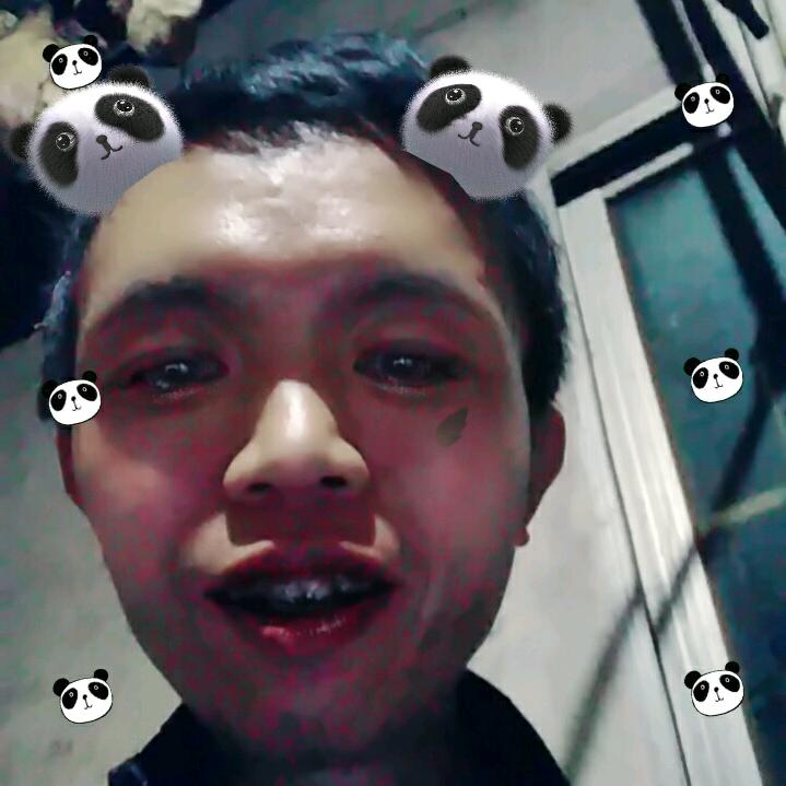 贵州小熊