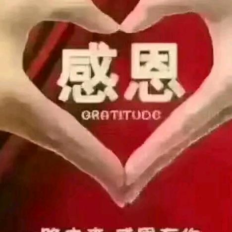 会飞的鱼8888