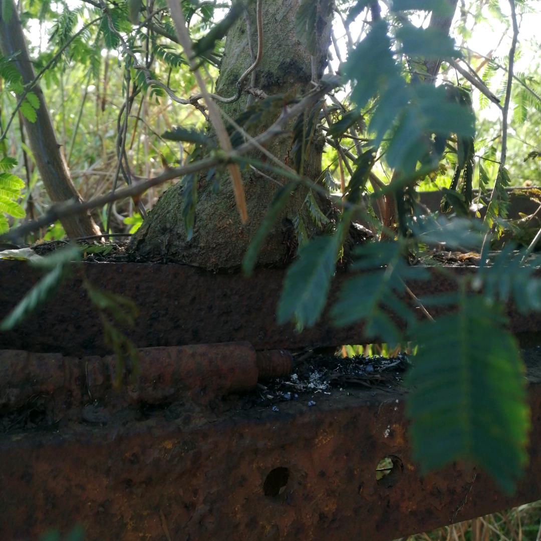付俊涛