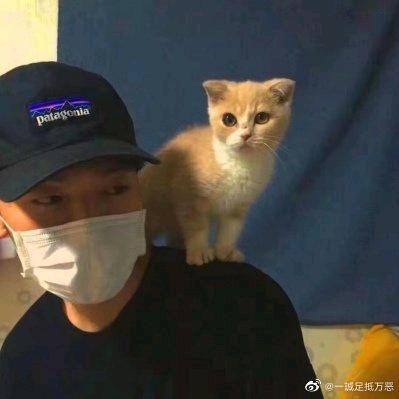 柯.