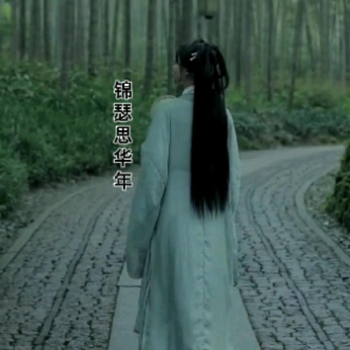 锦瑟思华年