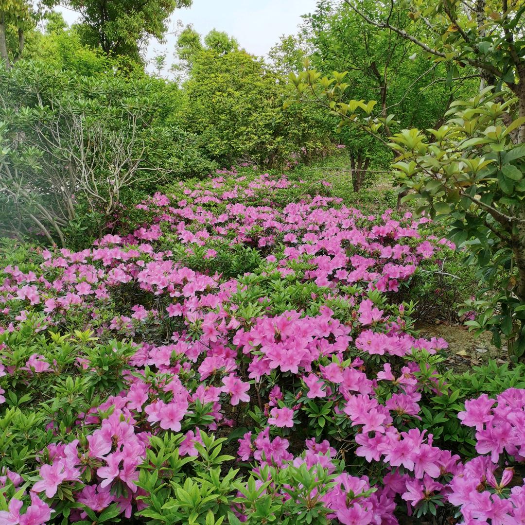 爱我所爱