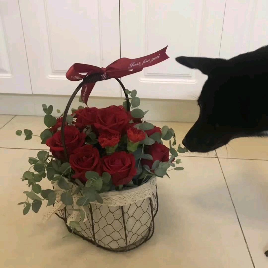 小芫
