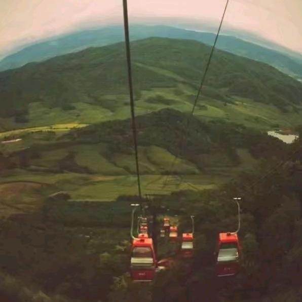 ✨煮酒💫燃烟✨✨✨