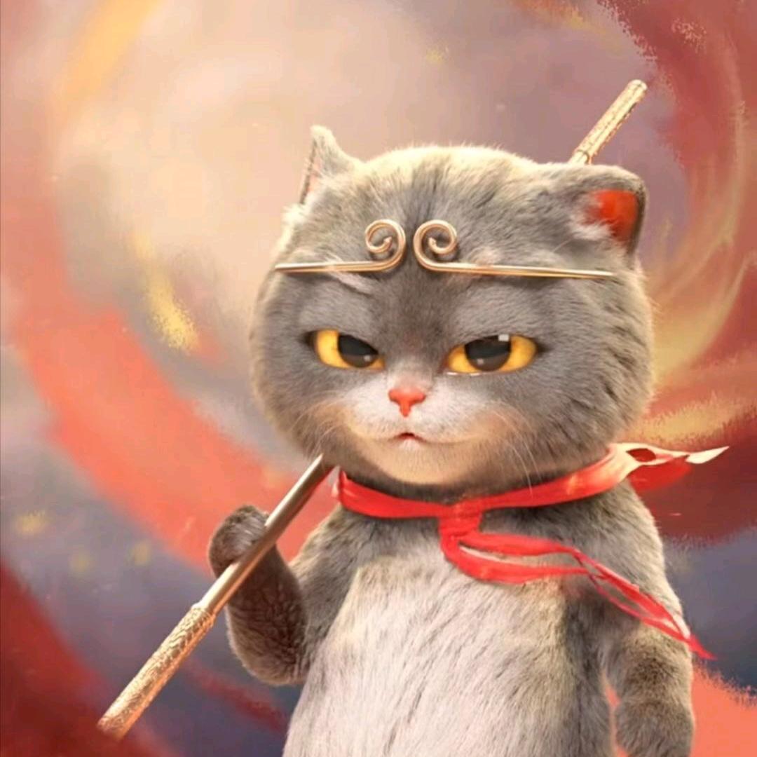 不会飞翔的小鸟❤️