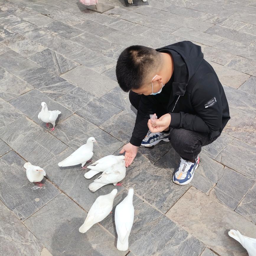 呼儿嘿呦。