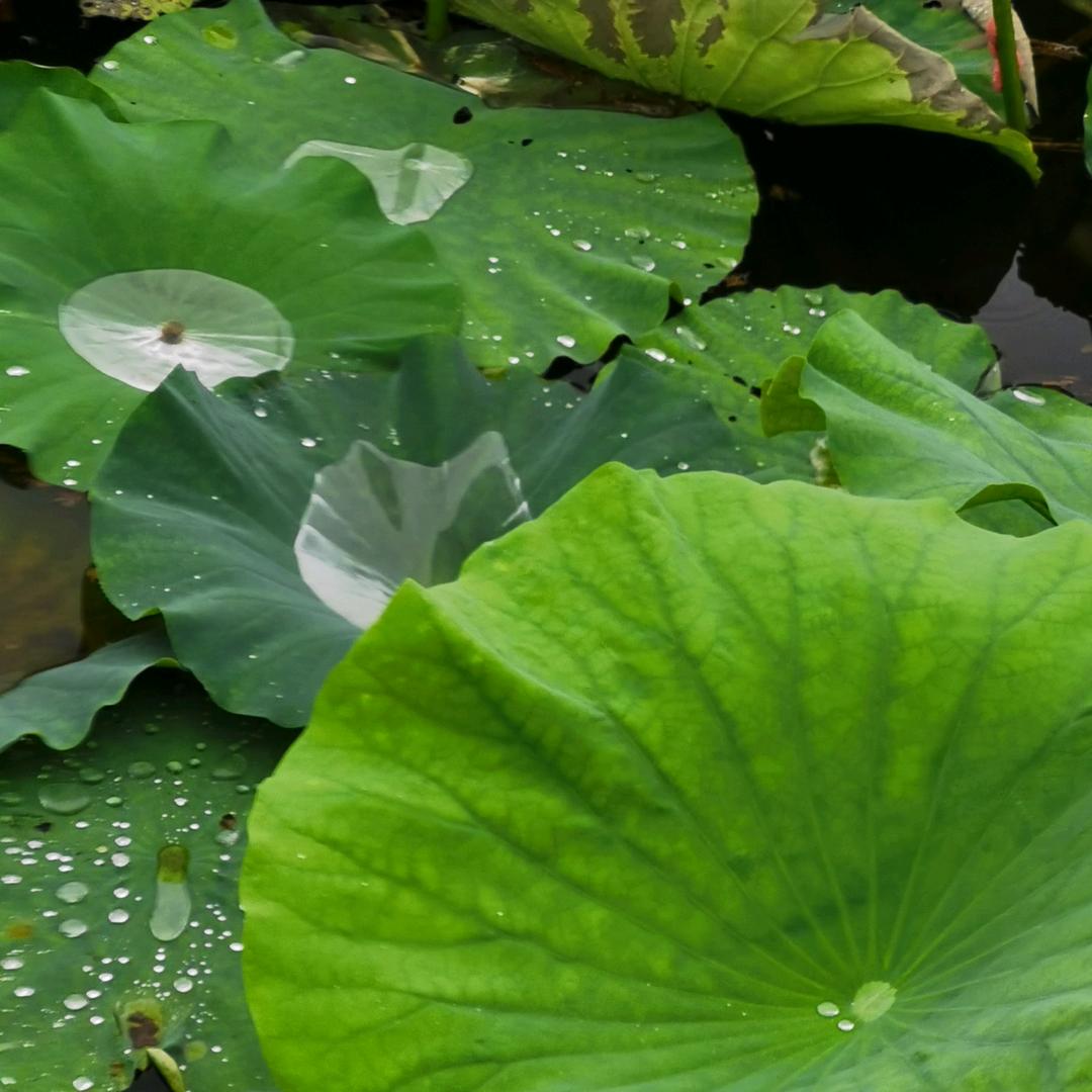 丨时光，75年11月的兔子