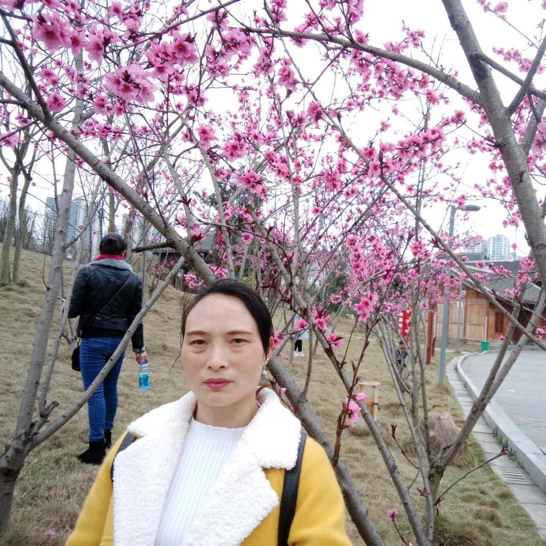 远山惊鸿