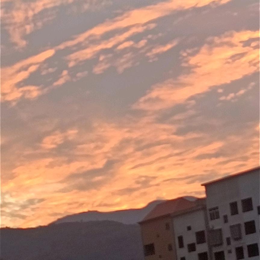 荃   莣