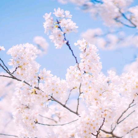 与你曈行