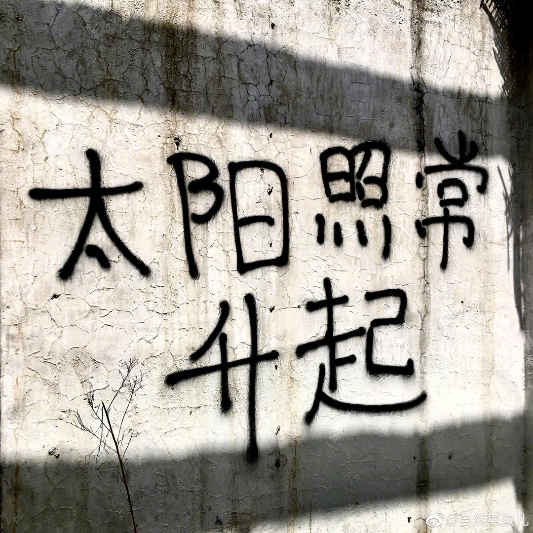 一条咸鱼