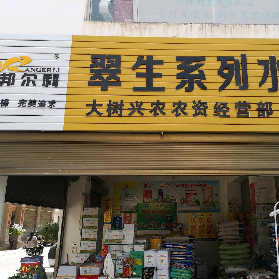 大树兴农农资店