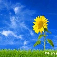 鲜乐惠生活（家睿运营策划管理）