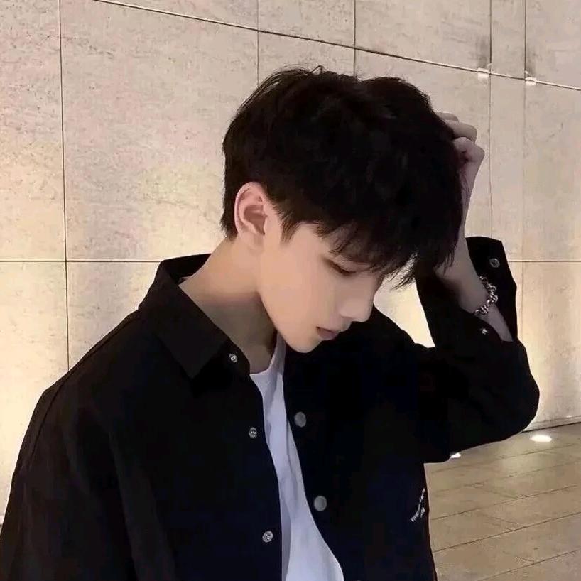 羊駝.