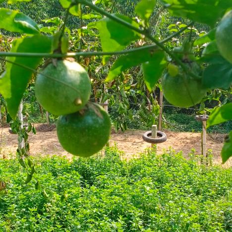 这↑儿媳做的真对说的真好真是好媳妇