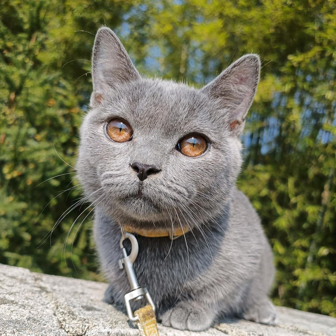 ᝰ东边有壹枝花ཀོꦿ҉࿐