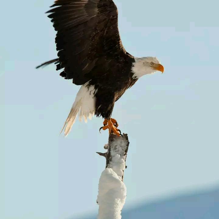 行走抖音火🔥山
