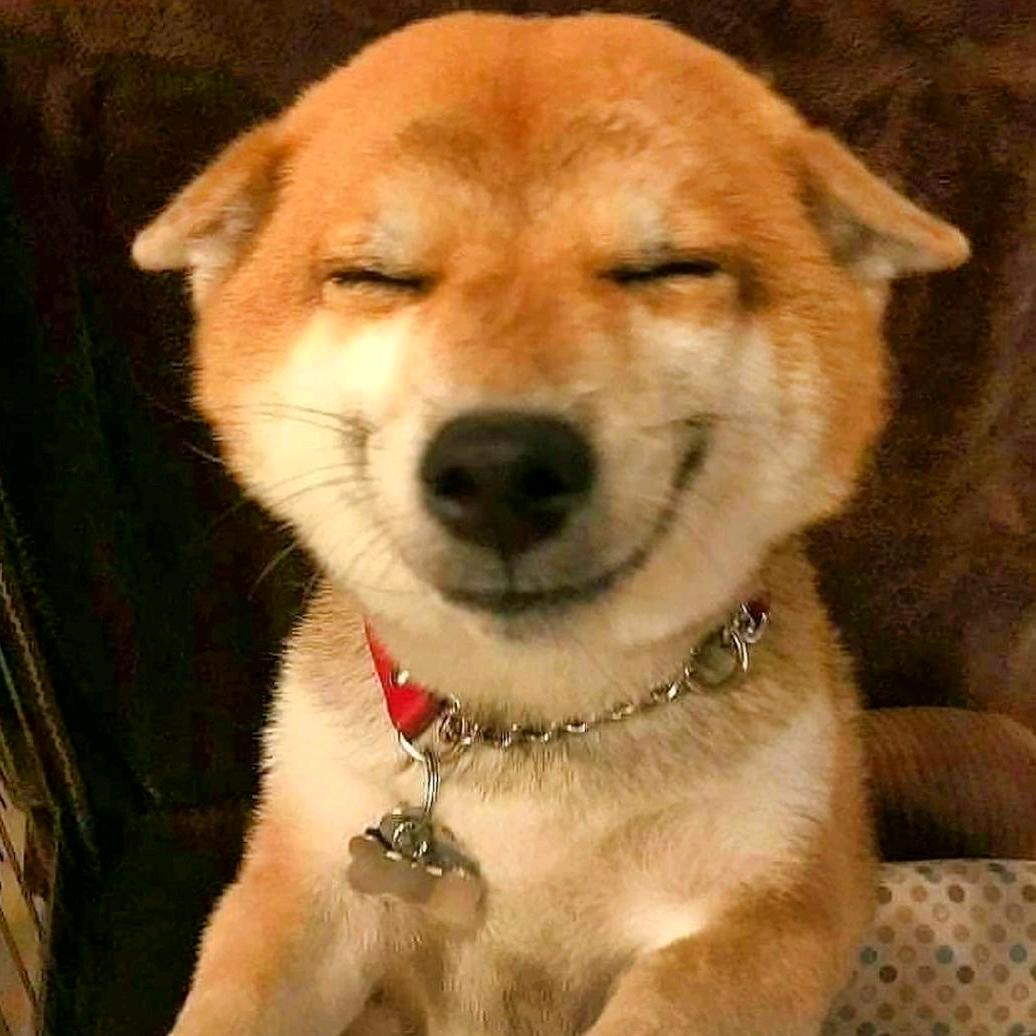 路边的大树