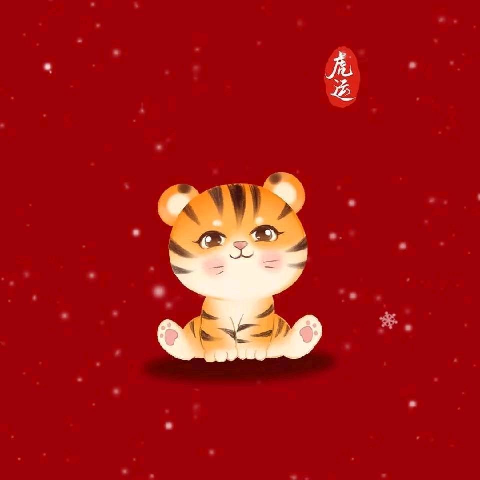 合肥门面小助手看房选铺