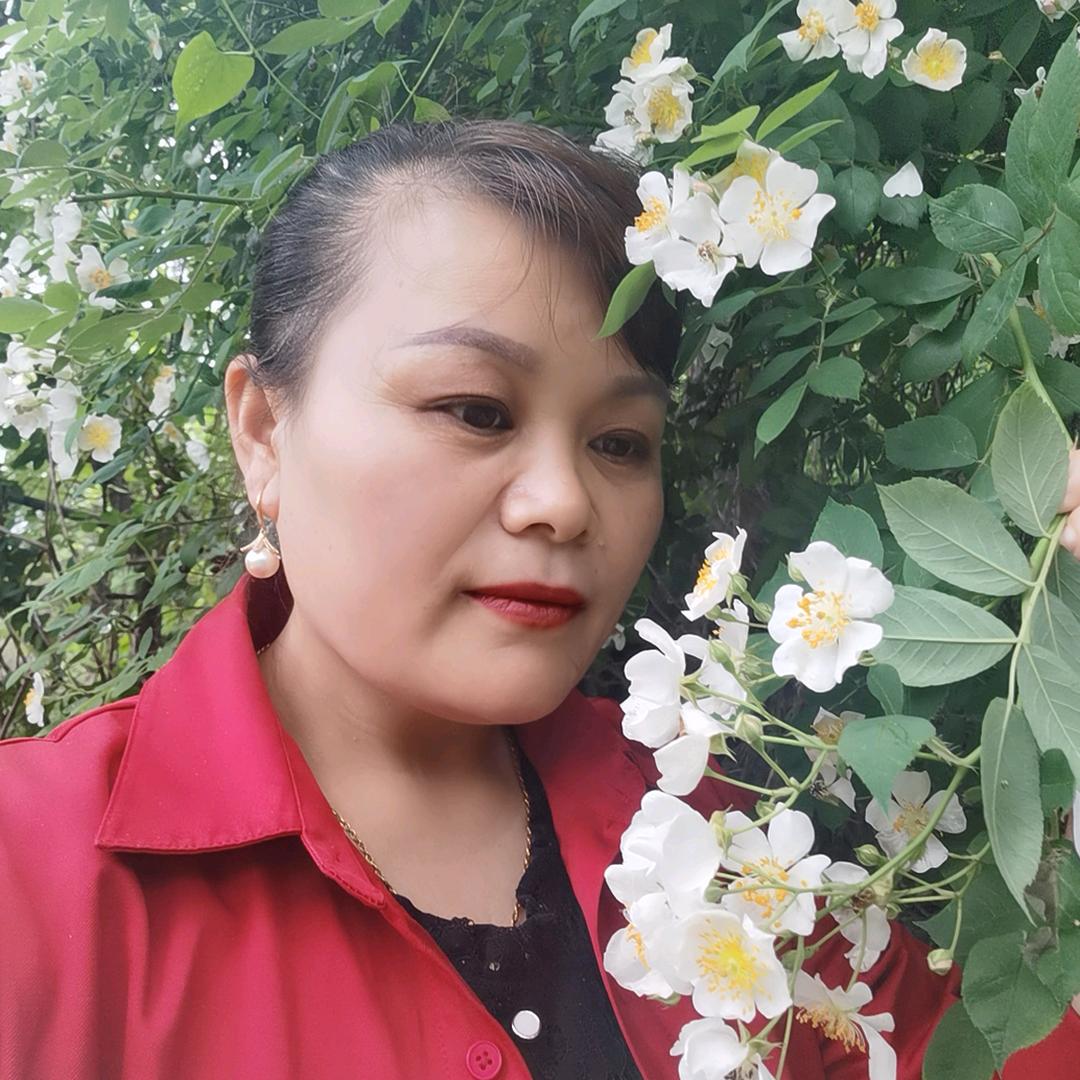 潘氏燕子