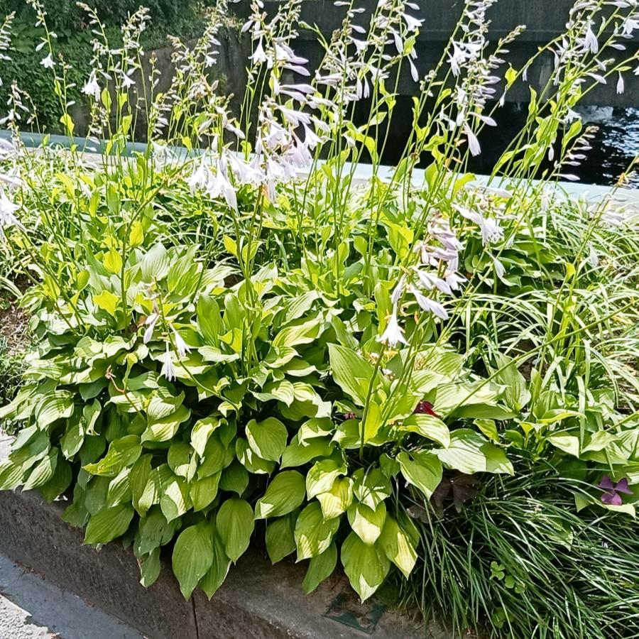 @燕燕《专业折装空调》