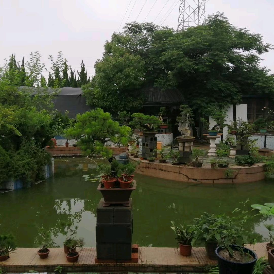 大洋
