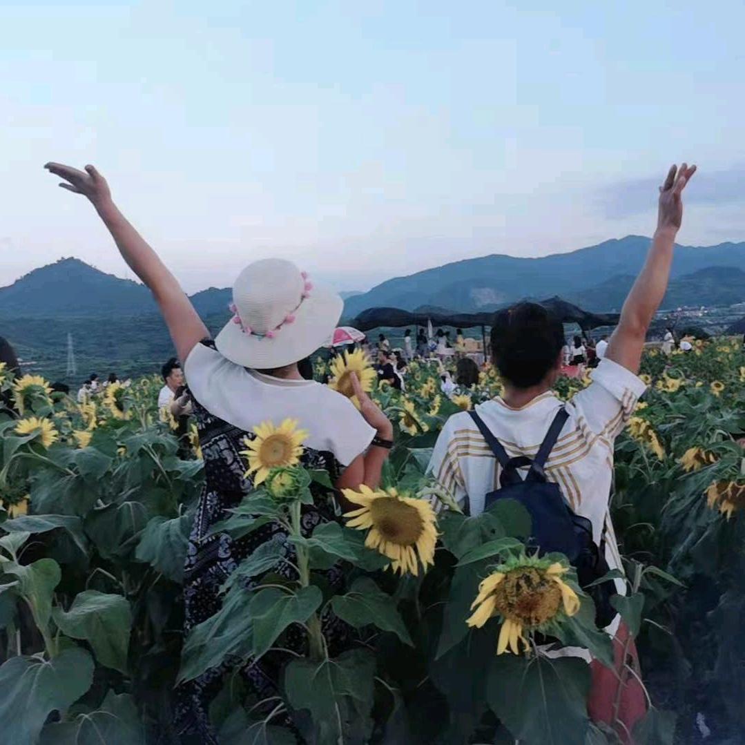 快每一天