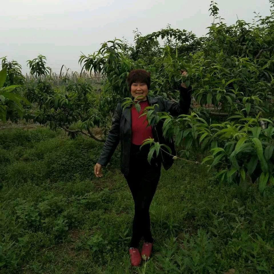 开心每一刻