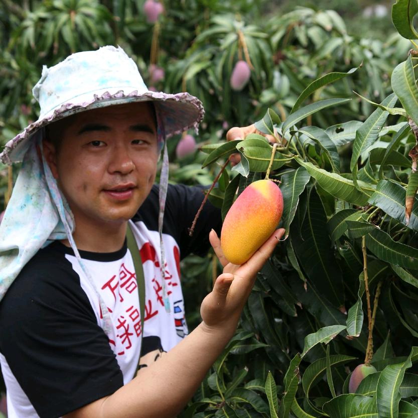 八万哥果蔬生鲜优选