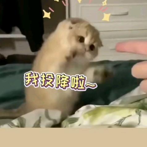 狂舔十八位男大