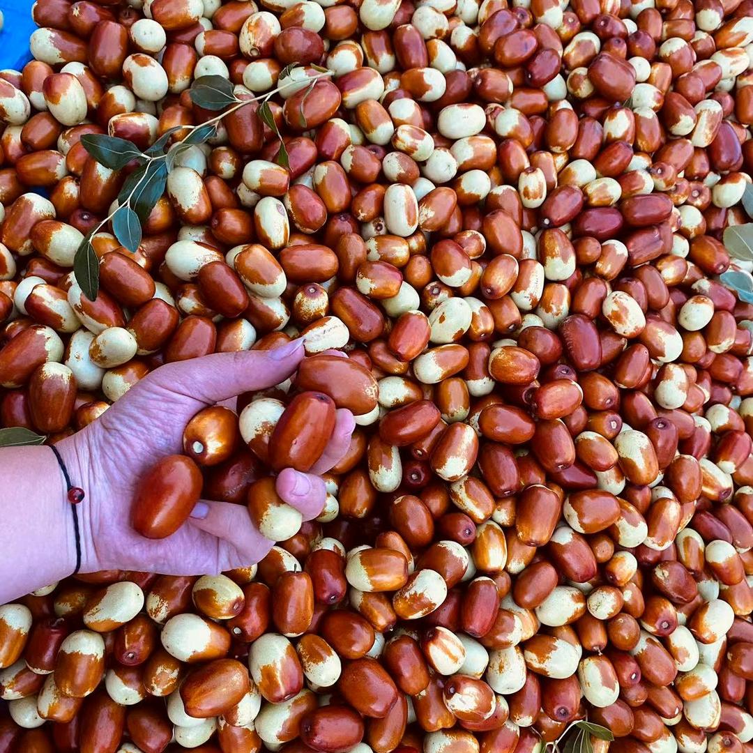 小宋喀左新鲜农产优品店