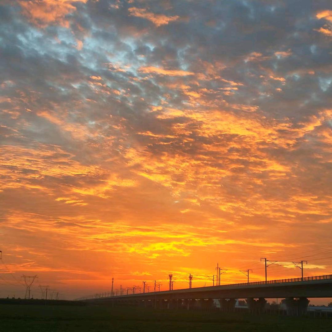 南关张记脆皮烤鸭