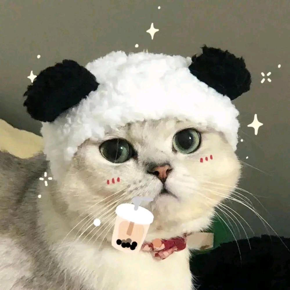 @小肖同学