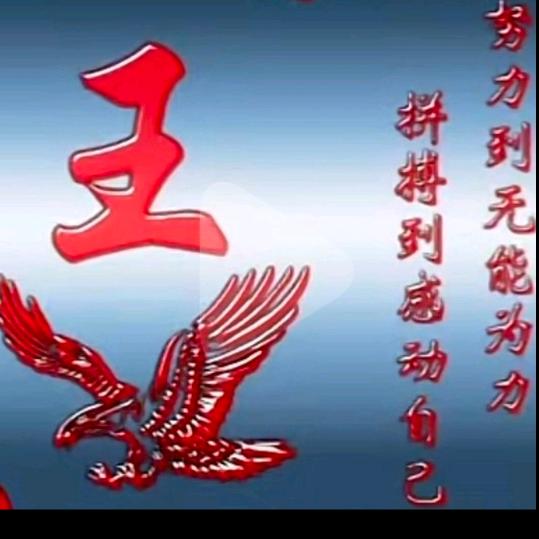 无王无法