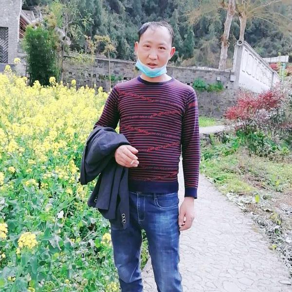 罗茂军