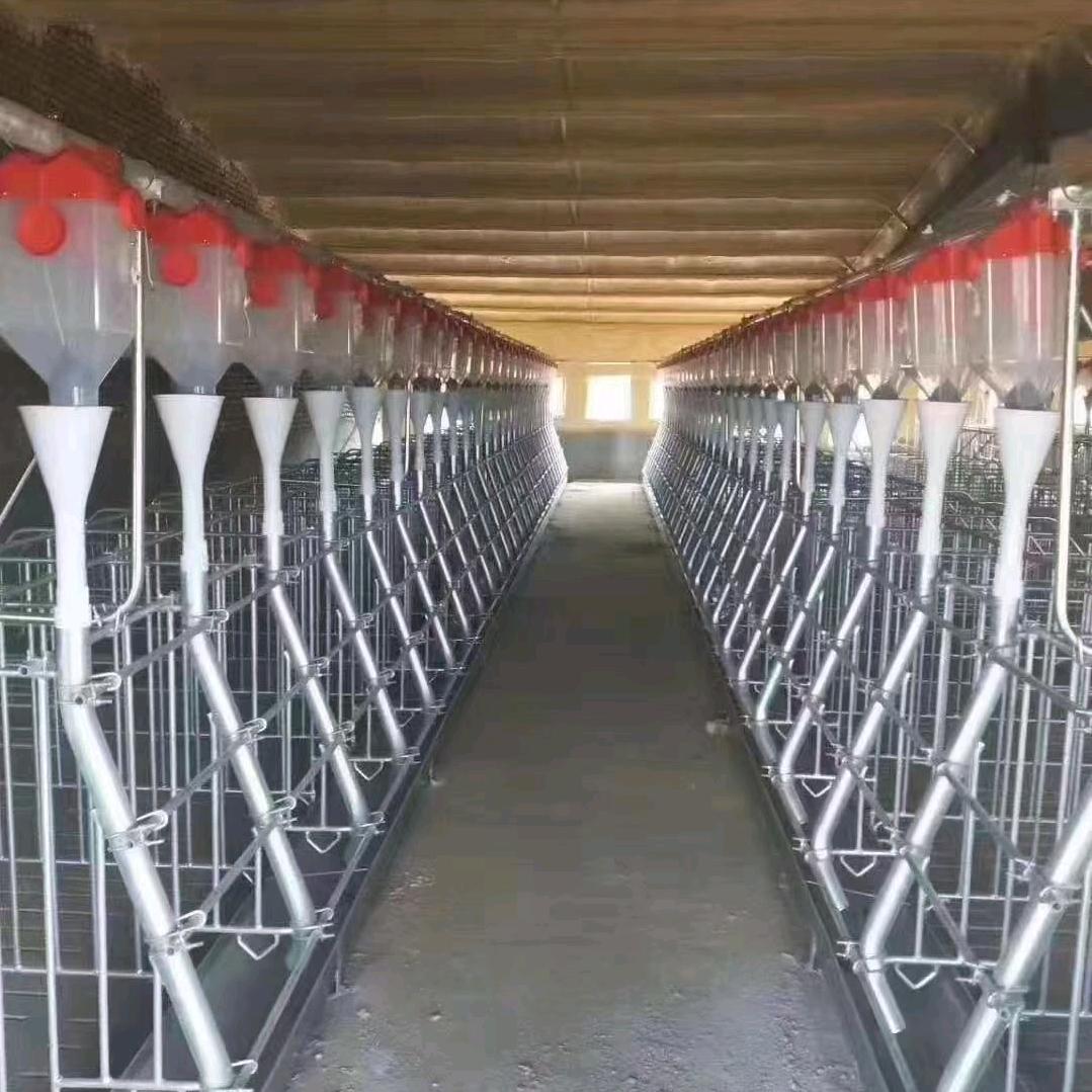 河南猪小妹养殖设备厂家