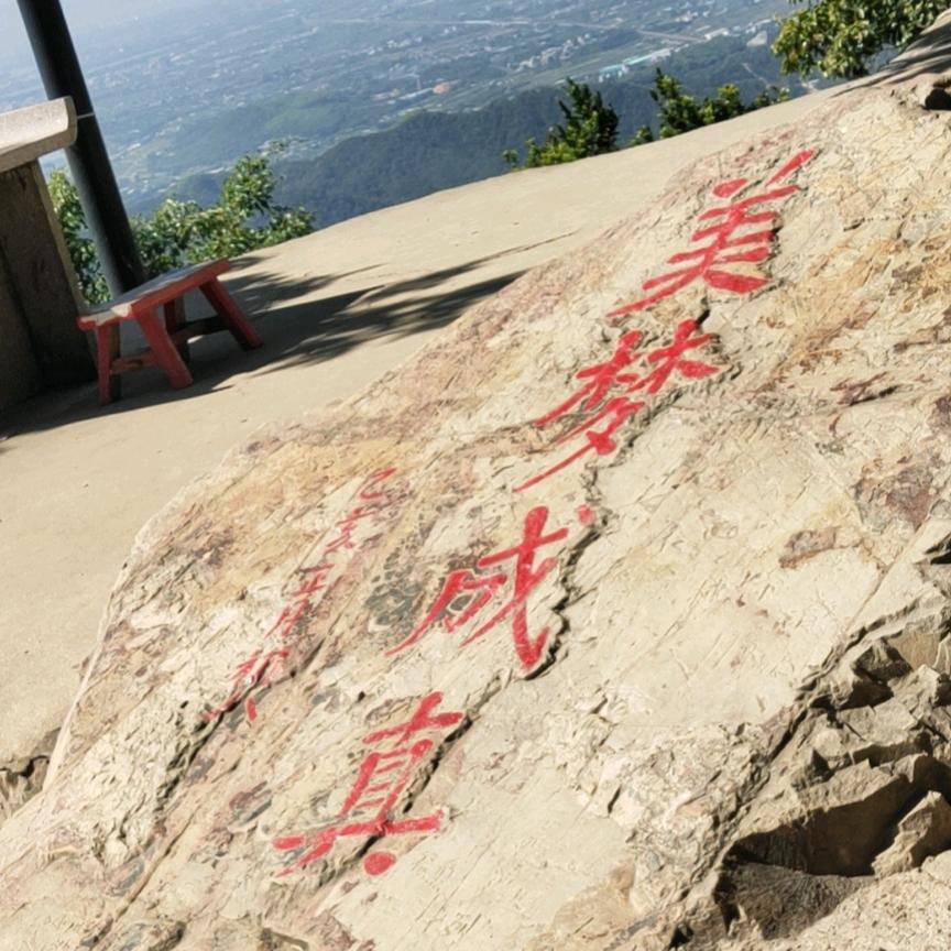 美梦成真