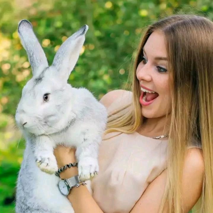 叶城振皓车行（吐克孜）