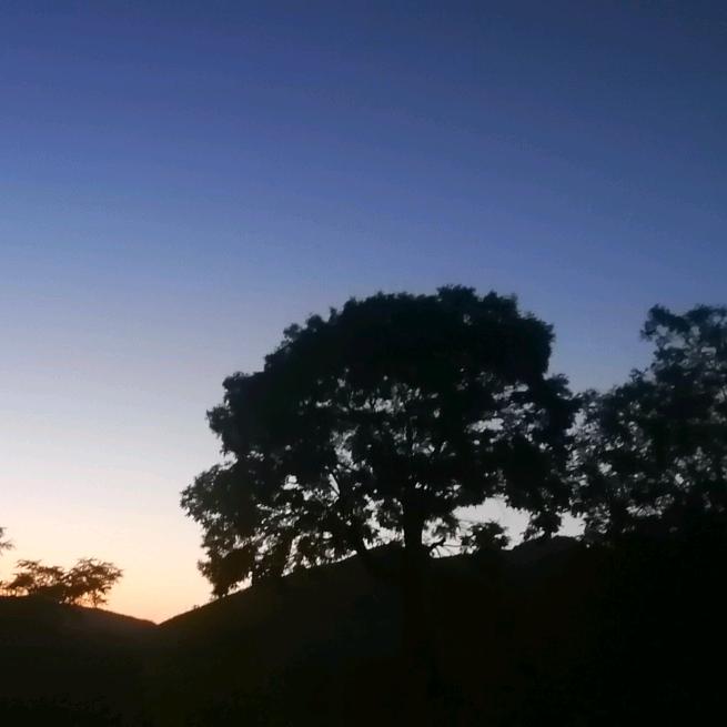 ꧁࿆心࿆之࿆꧂࿆所࿆向࿆