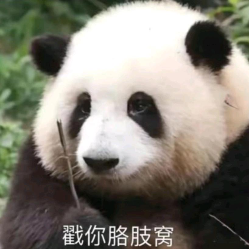 躭於羙樂（限流中）