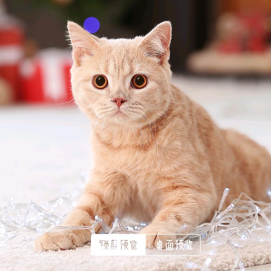 榮華